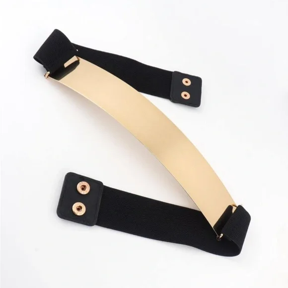 Zara limited edition stretchable with gold metallic combination belt - Picture 4 of 10